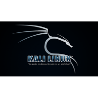 Встановлення Kali Linux