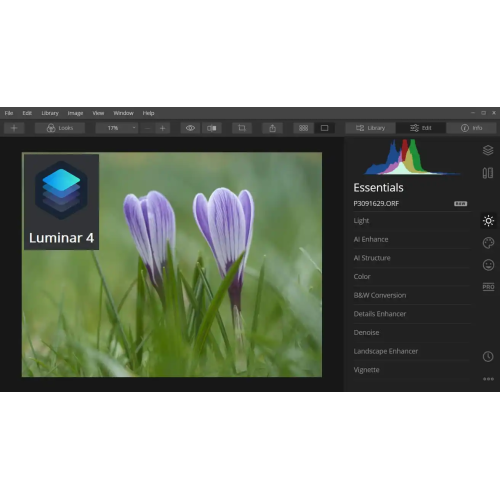 Установка Skylum Luminar 4