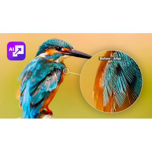 Встановлення ON1 Resize AI